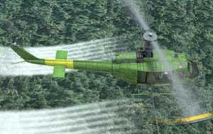 helicopter helicopter